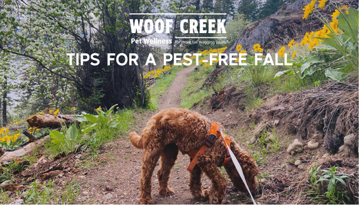 Tips For A Pest-Free Fall