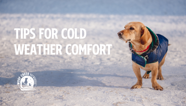 Tips to Keep Your Pets Comfy in Cold Weather!