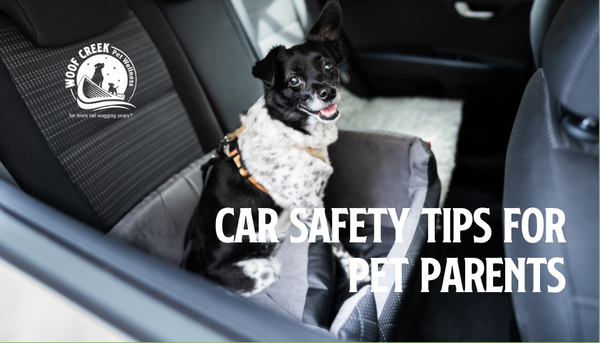 Car Safety Tips for Pet Parents