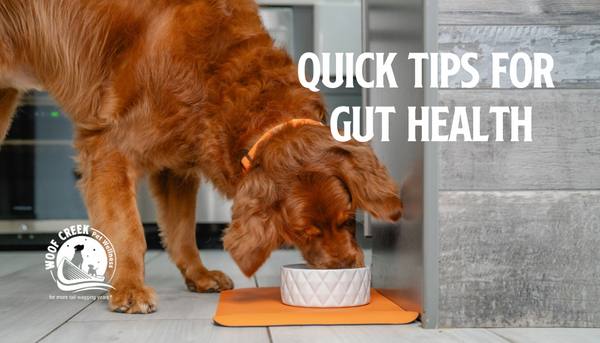 Quick Tips for Gut Health