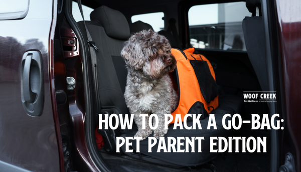 How to Pack a Go-Bag: Pet Parent Edition