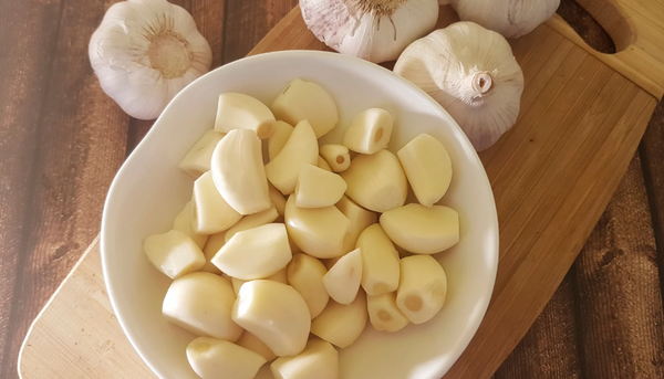 Can My Dog Have Garlic?