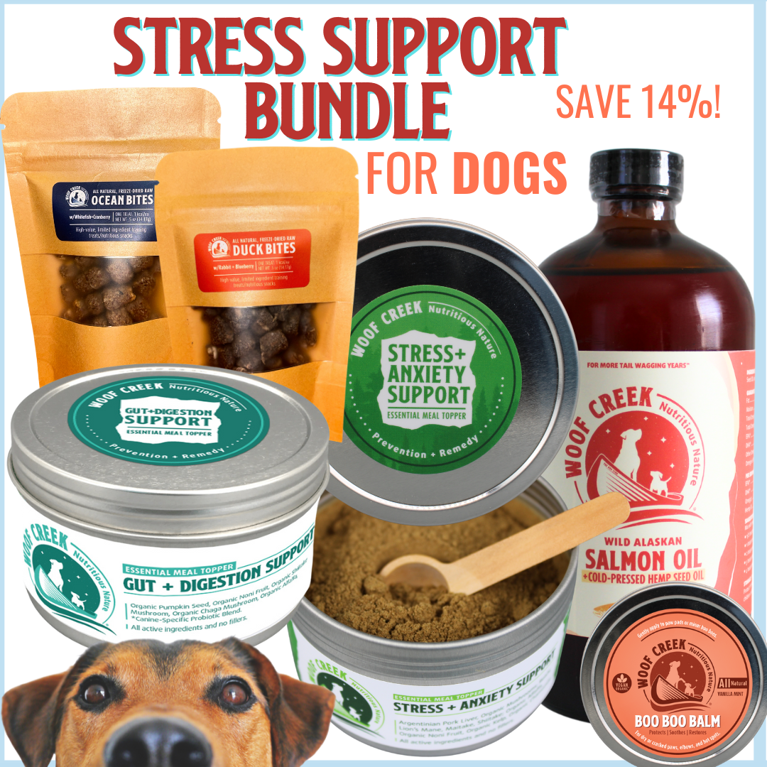 Stress Support Bundle | 6 All-Natural Wellness Items for Dogs