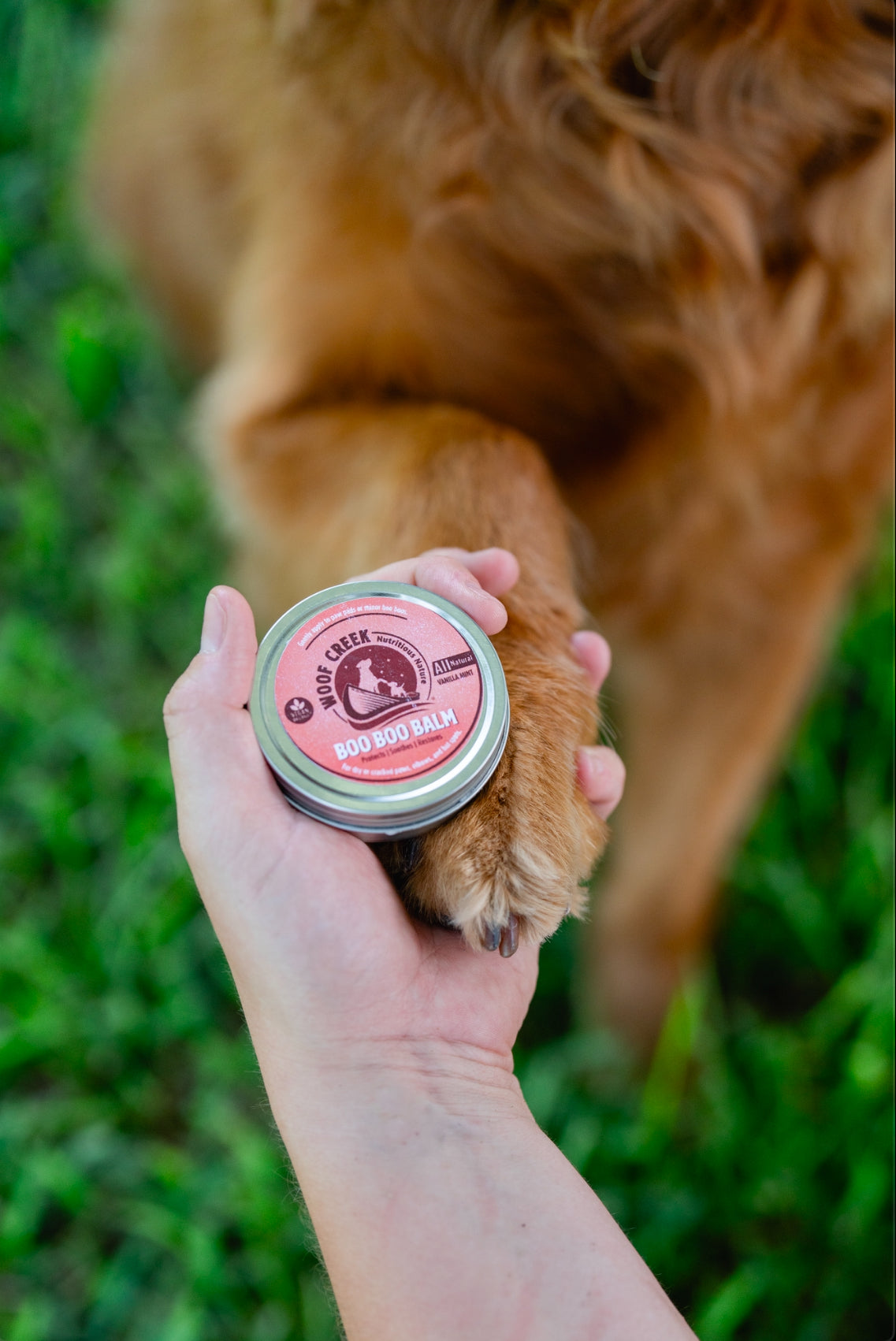 Boo Boo Balm | Lick-Safe Dog Balm for Paws + Body - Vanilla Mint