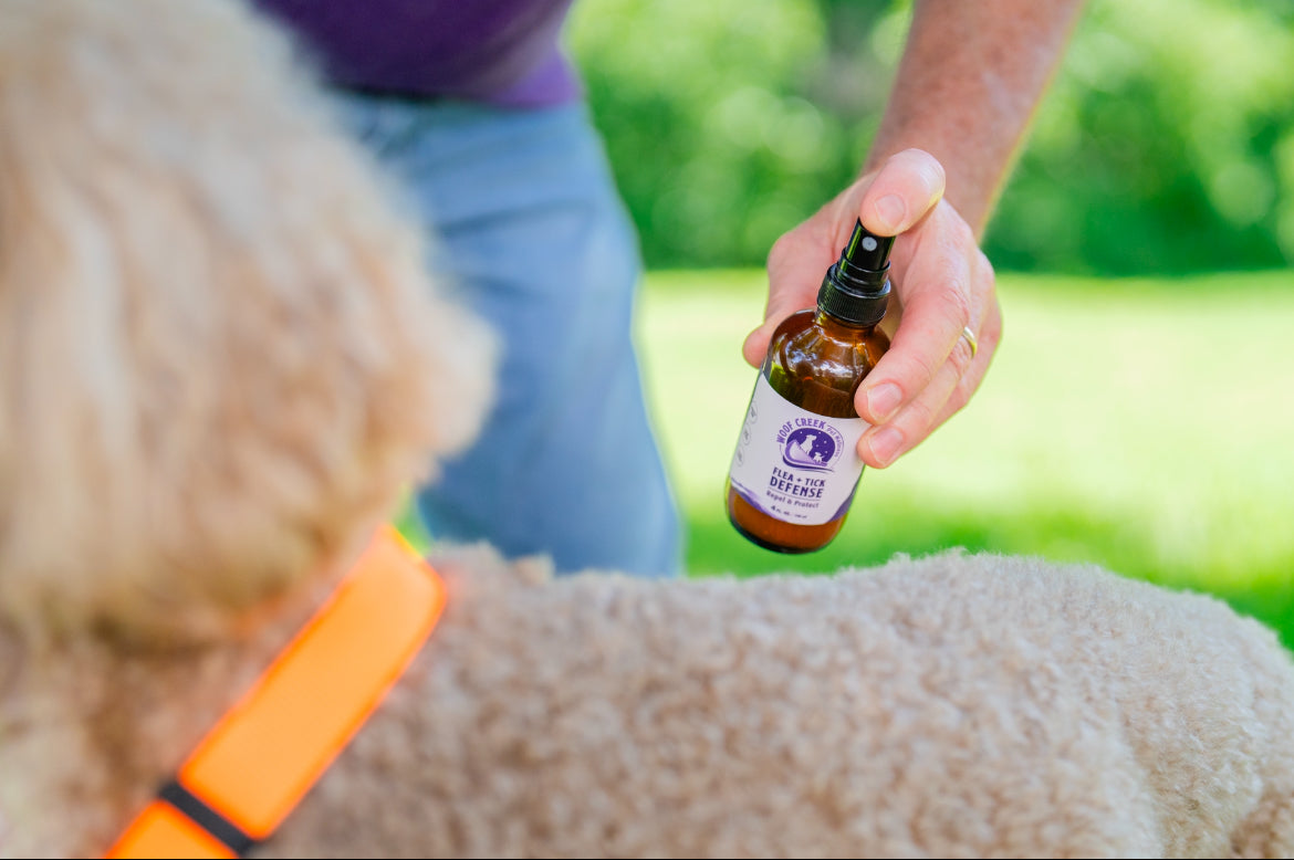 Natural Flea + Tick Defense Bundle | Supplement + Spray for Dogs + Cats